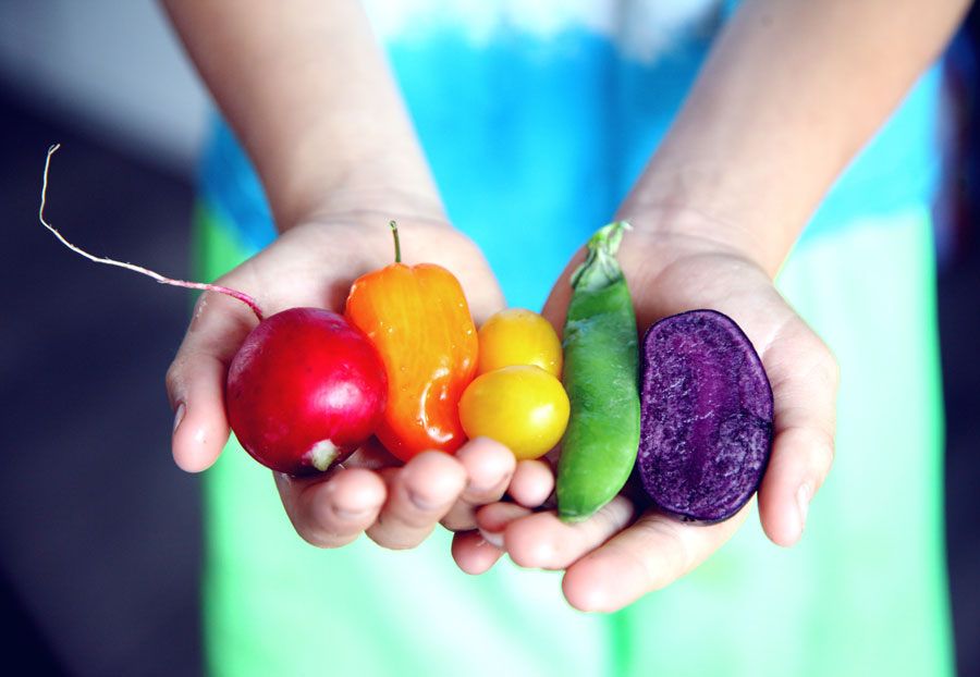handful of food